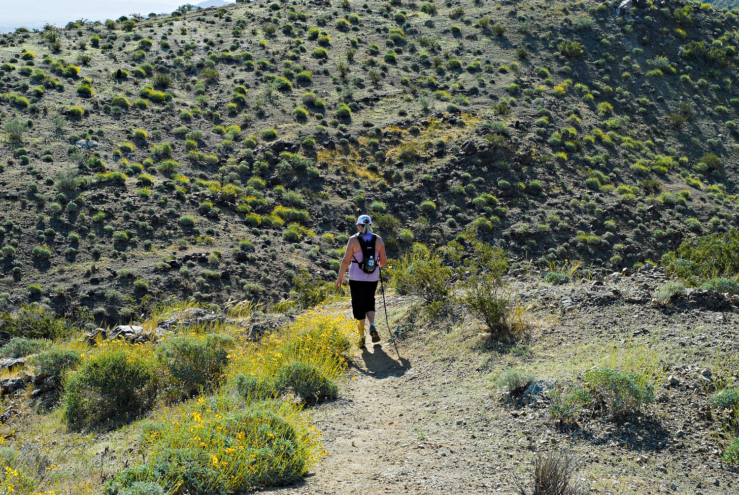 23Garsten Trail 2010
